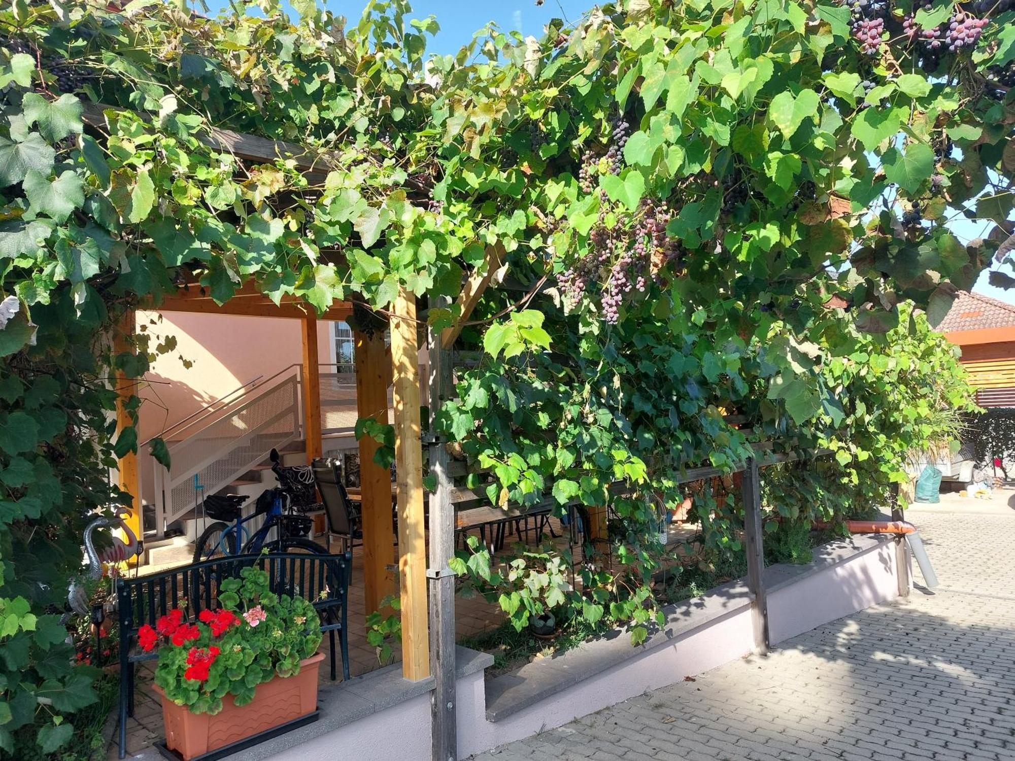 Ferienwohnung Gerti พินคาเฟลด์ ภายนอก รูปภาพ